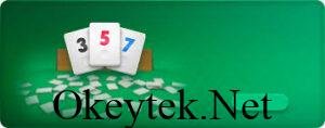 Elazığ Okey Odaları Bedava Okey Oyna